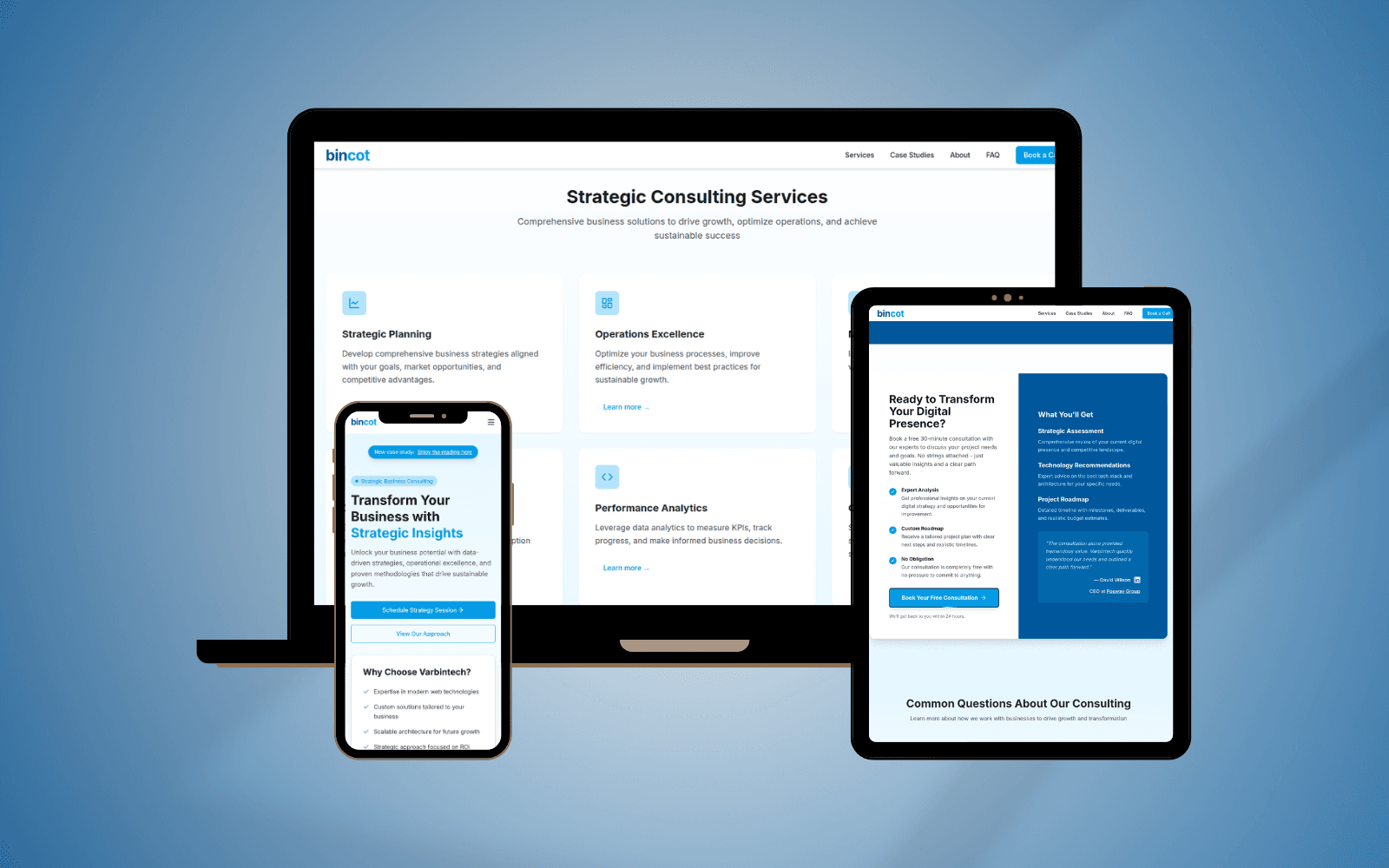 Bincot Consulting screenshot